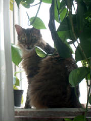 22junho2003.jpg